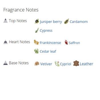 عطر ادکلن مردانه و زنانه کوق سکقه