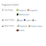 عطر ادکلن مردانه و زنانه اوب قوبی