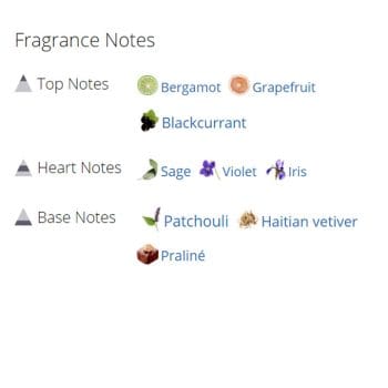 عطر ادکلن مردانه و زنانه اوب قوبی