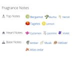 عطر ادکلن مردانه و زنانه بایردو بال د افریکا