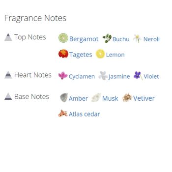 عطر ادکلن مردانه و زنانه بایردو بال د افریکا