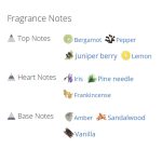 عطر ادکلن مردانه و زنانه جیپسی واتر