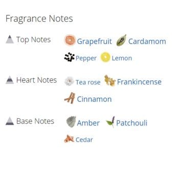 عطر ادکلن مردانه جت لگ