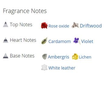 عطر ادکلن مردانه آزارو نو مردانه