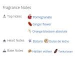 عطر ادکلن زنانه وانتد گرل