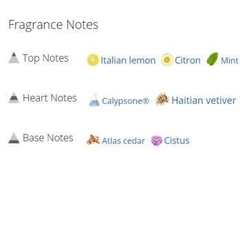 عطر ادکلن مردانه و زنانه سولاریسیو