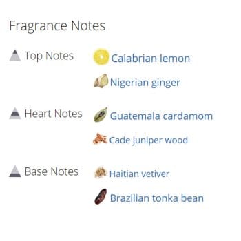 عطر ادکلن مردانه وانتد