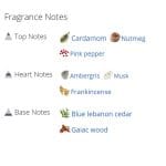 عطر ادکلن مردانه ویزیت