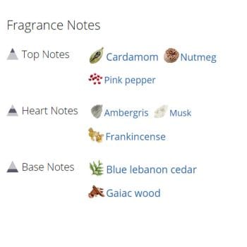 عطر ادکلن مردانه ویزیت