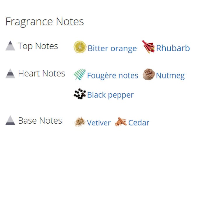 عطر ادکلن مردانه آزارو پورهوم نایت تایم عطر ادکلن مردانه آزارو پورهوم نایت تایم