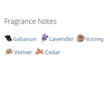 عطر ادکلن مردانه آزارو آکوا ورد