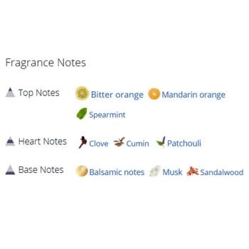 عطر ادکلن مردانه بالدسارینی