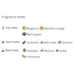 عطر ادکلن مردانه دلمار