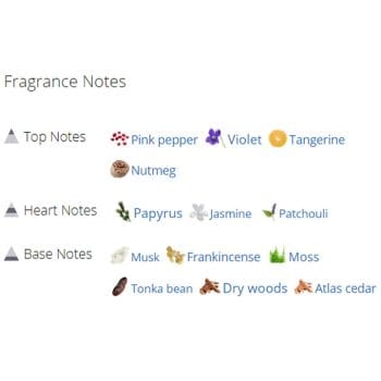 عطر ادکلن مردانه بنتلی فور من بلک ادیشن