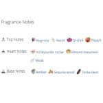 عطر ادکلن زنانه بیانس هیت