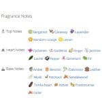 عطر ادکلن مردانه بیژن دی ان ای مردانه