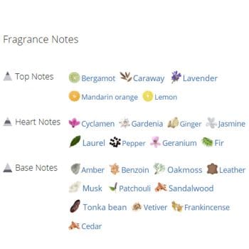 عطر ادکلن مردانه بیژن دی ان ای مردانه