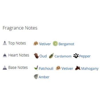 عطر ادکلن مردانه و زنانه بودیسیا ویکتوریوس چلسی