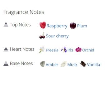 عطر ادکلن زنانه بریتنی اسپیرز میدنایت فانتزی