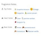 عطر ادکلن زنانه بریتنی اسپیرز هیدن فانتزی