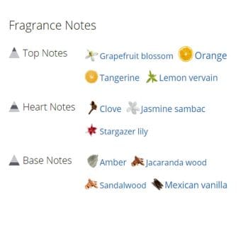 عطر ادکلن زنانه بریتنی اسپیرز هیدن فانتزی