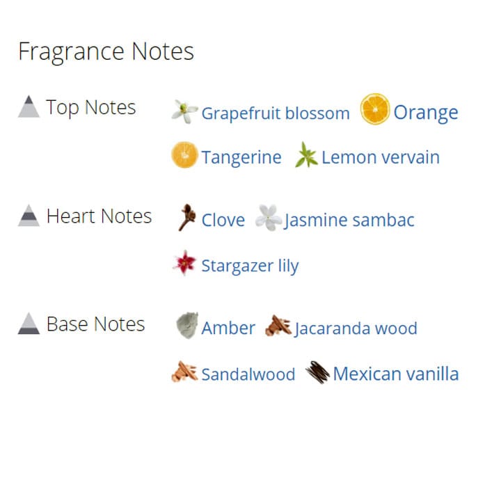 عطر ادکلن زنانه بریتنی اسپیرز هیدن فانتزی عطر ادکلن زنانه بریتنی اسپیرز هیدن فانتزی