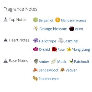 عطر ادکلن مردانه آمواج سیلور