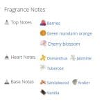 عطر ادکلن زنانه بریتنی اسپیرز فانتاسی این بلوم