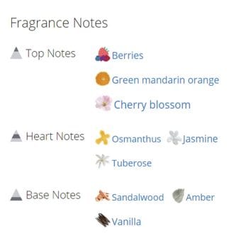 عطر ادکلن زنانه بریتنی اسپیرز فانتاسی این بلوم