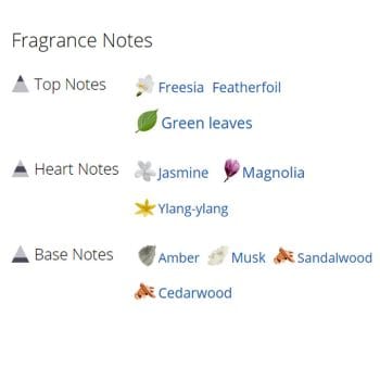 عطر ادکلن زنانه رفلکشن