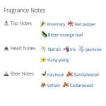 عطر ادکلن مردانه رفلکشن