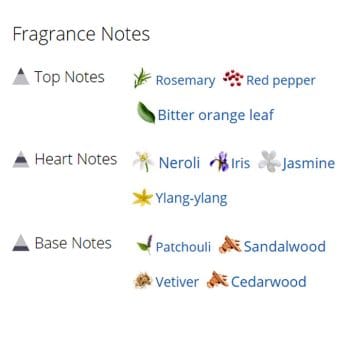 عطر ادکلن مردانه رفلکشن