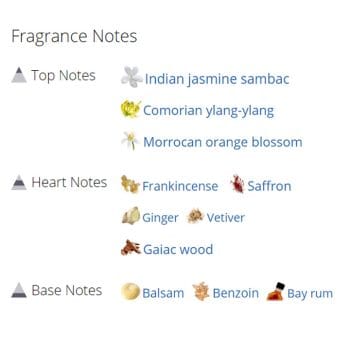 عطر ادکلن مردانه اپوس 8