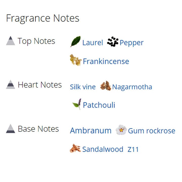 عطر ادکلن مردانه و زنانه اپوس 6 عطر ادکلن مردانه و زنانه اپوس 6