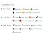 عطر ادکلن مردانه جوبیلیشن