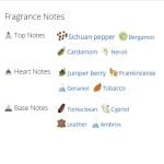 عطر ادکلن مردانه ژورنی