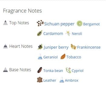 عطر ادکلن مردانه ژورنی