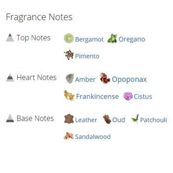 عطر ادکلن مردانه اینترلود