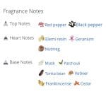 عطر ادکلن مردانه آمواژ آنر