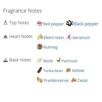 عطر ادکلن مردانه آمواژ آنر