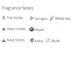 عطر ادکلن مردانه پارفوم د بلانچ