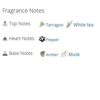 عطر ادکلن مردانه پارفوم د بلانچ