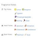 عطر ادکلن مردانه براکن