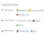 عطر ادکلن زنانه آنجل شلیسر فمه ادو تویلت