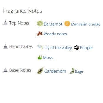 عطر ادکلن زنانه آنجل شلیسر فمه ادو تویلت