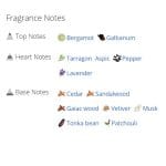 عطر ادکلن مردانه آنجل شلیسر هوم اورینتال ادیشن