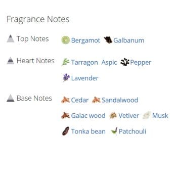 عطر ادکلن مردانه آنجل شلیسر هوم اورینتال ادیشن