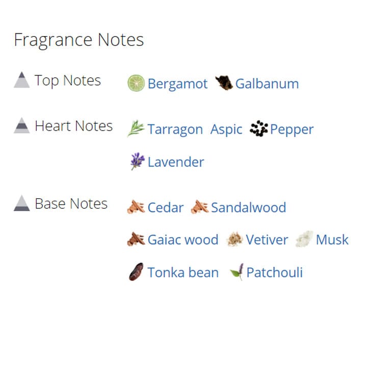 عطر ادکلن مردانه آنجل شلیسر هوم اورینتال ادیشن عطر ادکلن مردانه آنجل شلیسر هوم اورینتال ادیشن