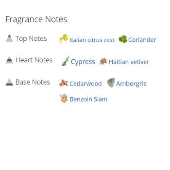 عطر ادکلن مردانه بولگاری من وود اسنس