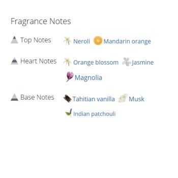 عطر ادکلن زنانه بولگاری اسپلندیدا مگنولیا سنشوال